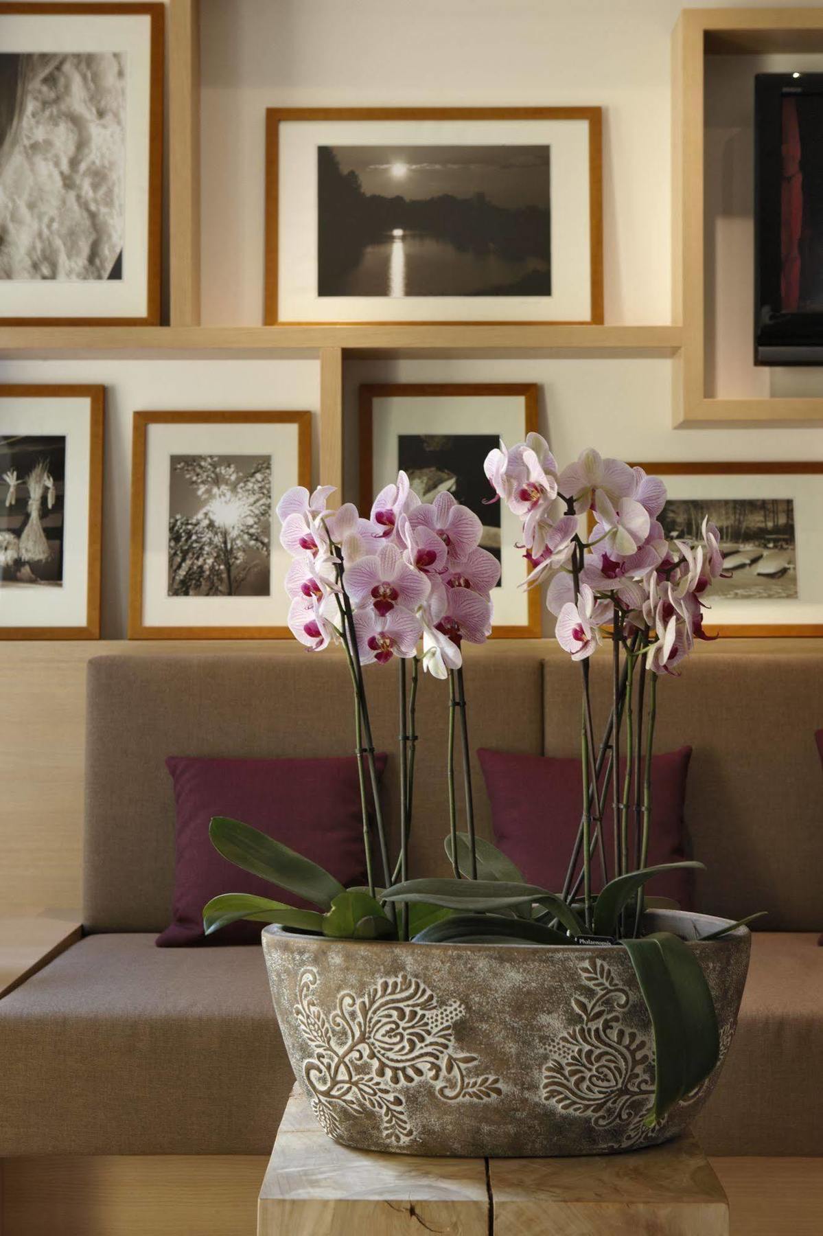 Logis Hotel Kur- Und Wellnesshaus Spree Balance Burg  Εξωτερικό φωτογραφία